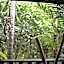 Oskar's Rain Forest Retreat