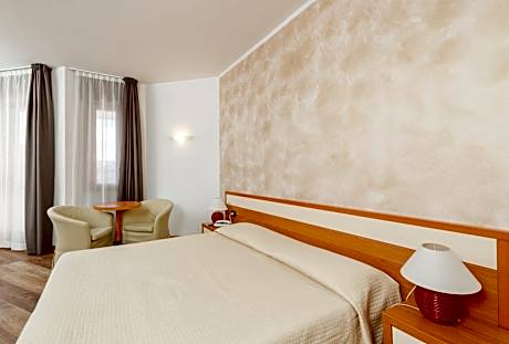 Standard Double Room - Single Use