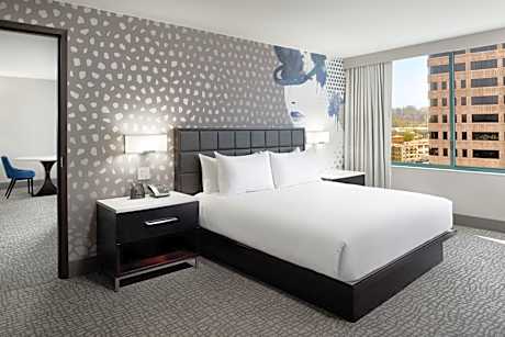 Deluxe One-Bedroom King Suite