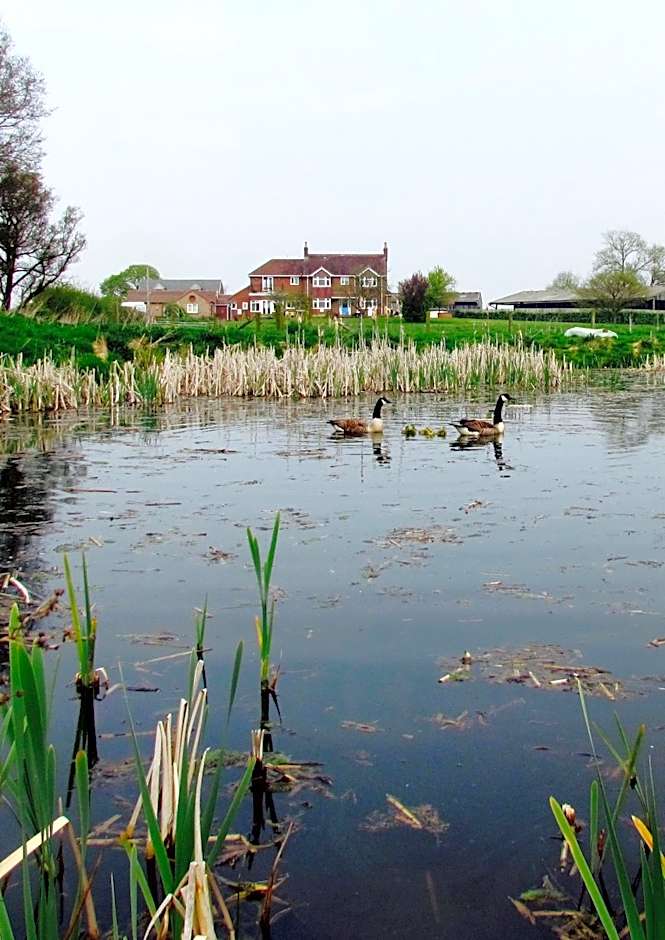 The Moorhead Bed & Breakfast