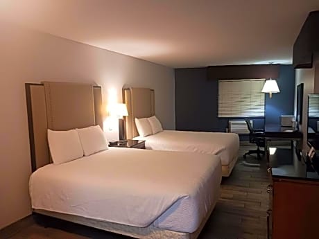 Deluxe Queen Suite