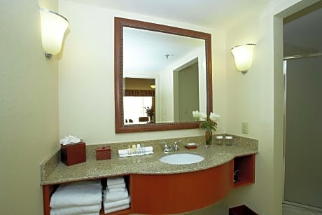 1 King Bed Junior Suite Mountain View