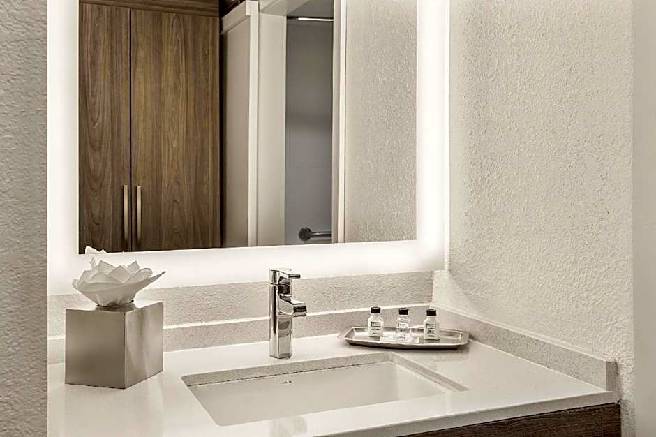 Crowne Plaza Orlando - Lake Buena Vista By IHG