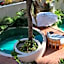 Casa Leah - Full Ocean View Apartment- Zicatela - AC in Bedroom - Steps To Beach - Steps to la Punta