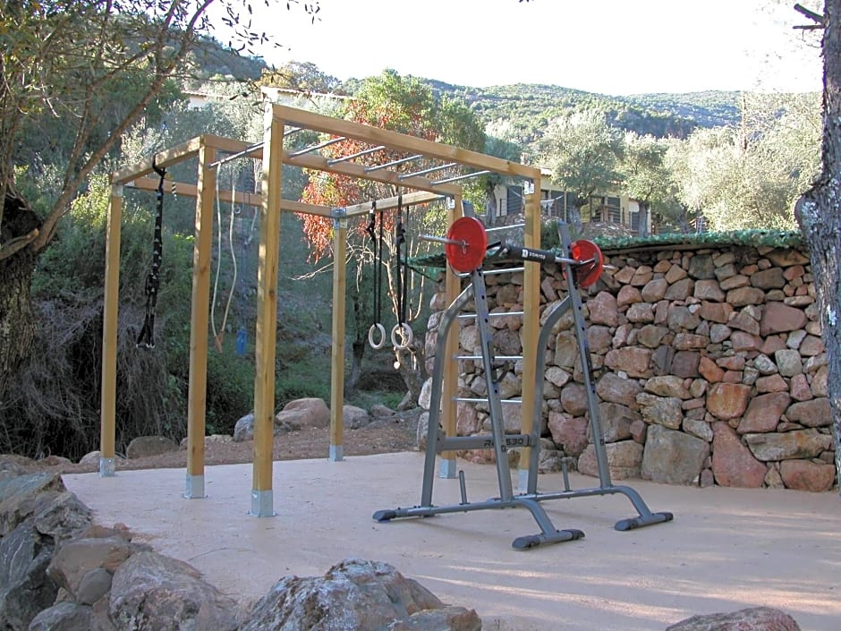 L'oliveraie du Fango