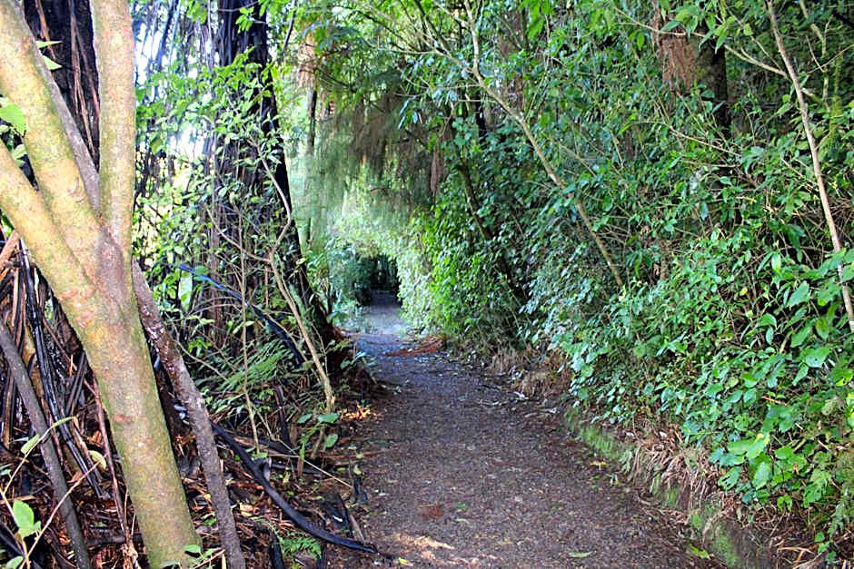 Waitomo Caves Guest Lodge