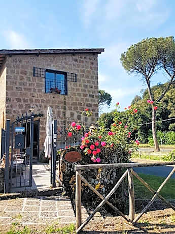 Le Terrecotte