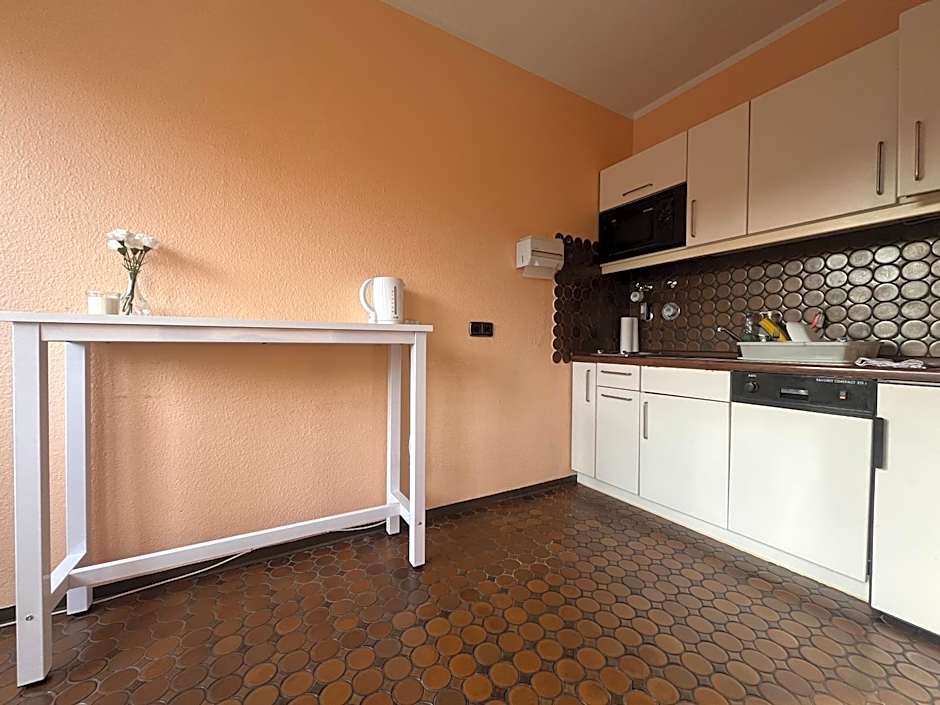 Simplex Apartments An Der Dreisam