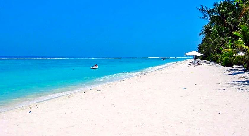 Planktons Beach Hotel