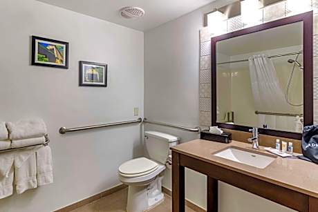 1 King Bed, Suite, Nonsmoking, Accessible