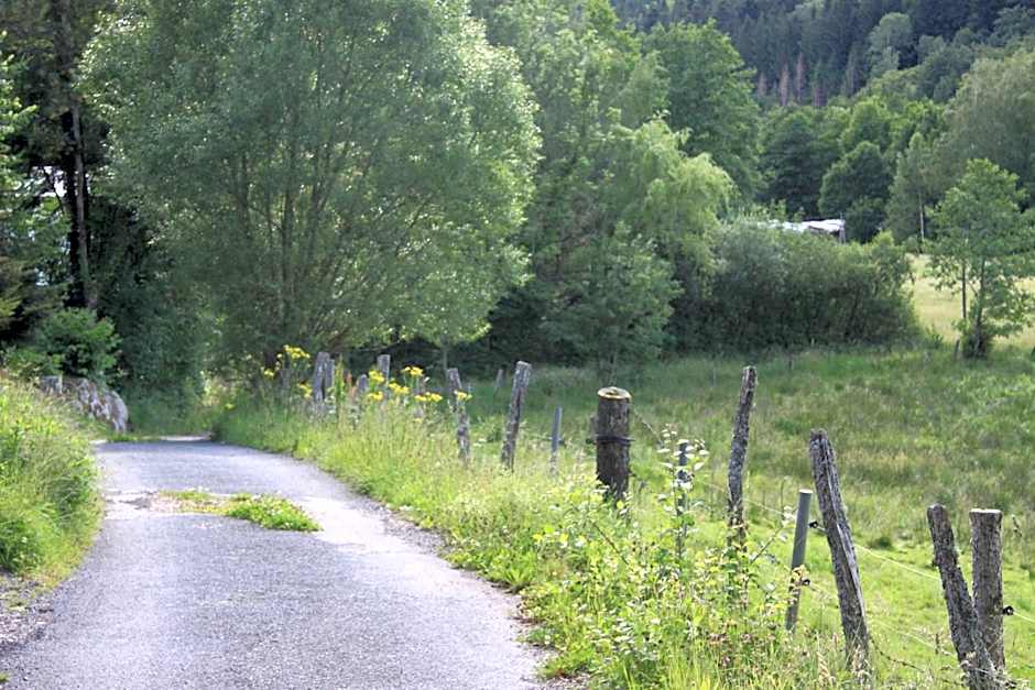 Notre Dame des Monts