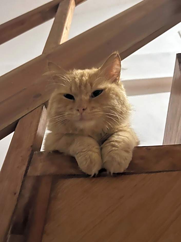 White Bada Guesthouse