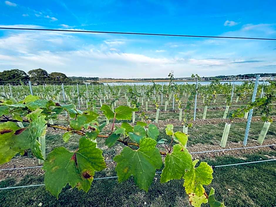 Pinkmead Estate and Vineyard