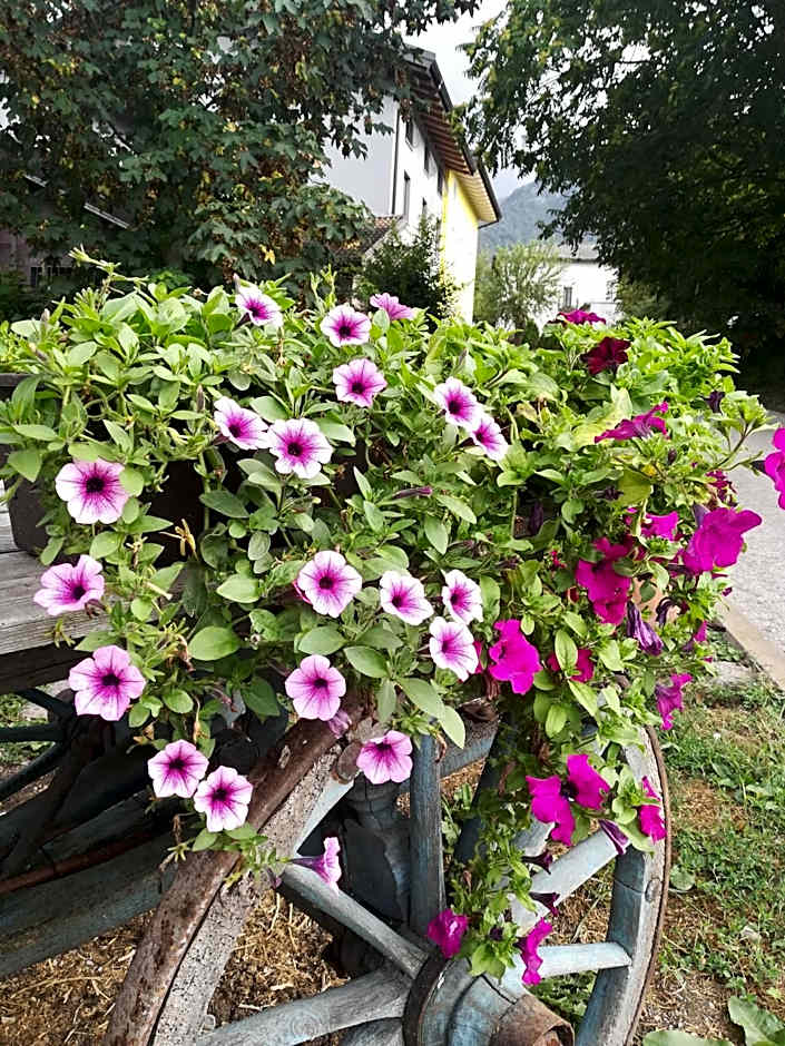 Agritur Airone Bed & Camping