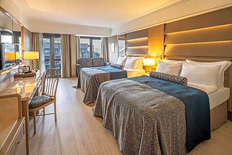 Standard Room with Land View