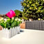 Royal Playa Suite and Apartament -private parking- self chek out
