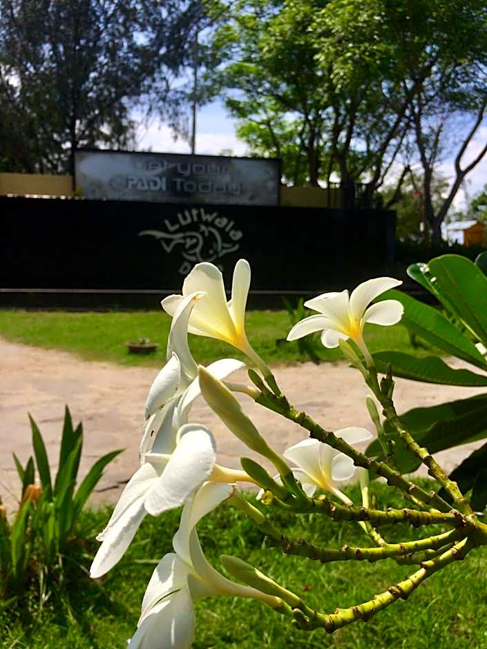 Lutwala Bungalows and Private Villa