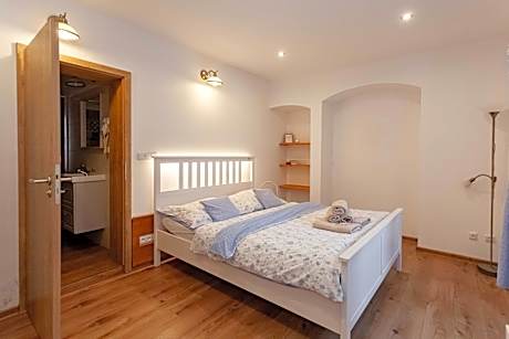 One-Bedroom Apartment with View