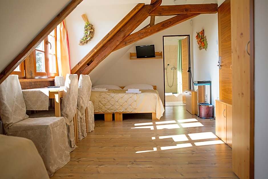 Wellness hotel & minipivovar Kněžínek