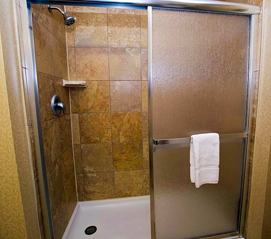 Hampton Inn By Hilton & Suites Houston - Rosenberg