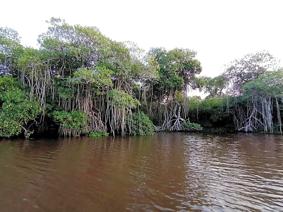 Don Luis Hostal - Sucursal Galeana - Tecolutla