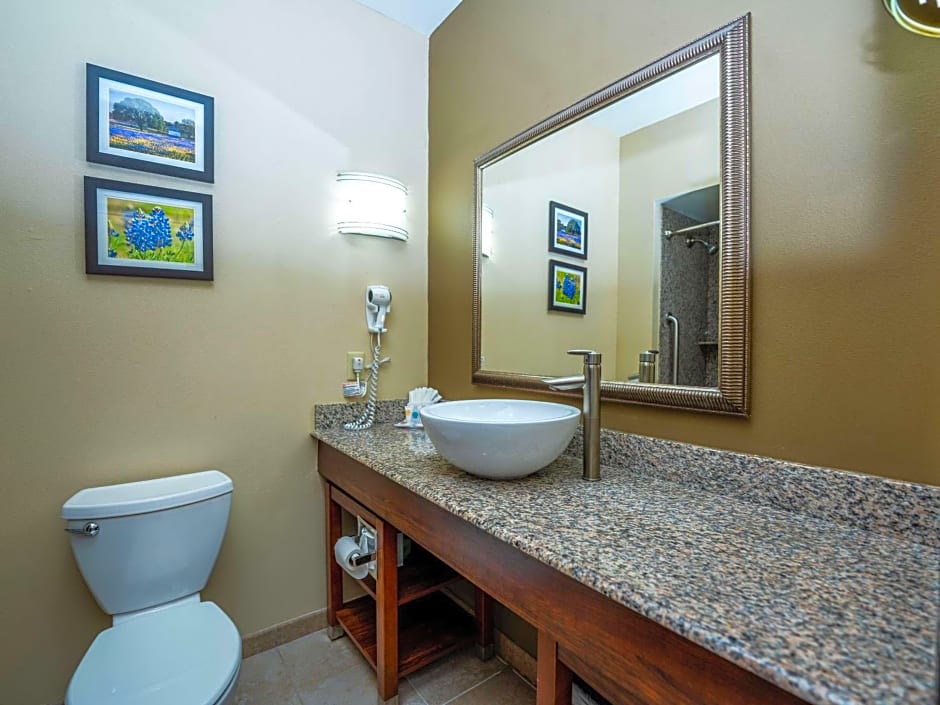 Comfort Suites Old Town Spring