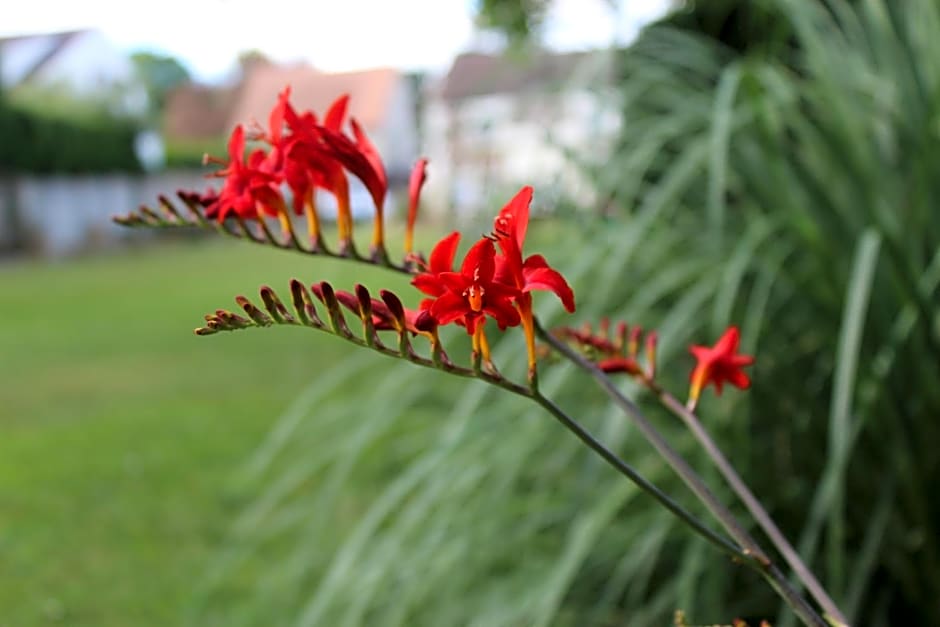 Le clos du mont César