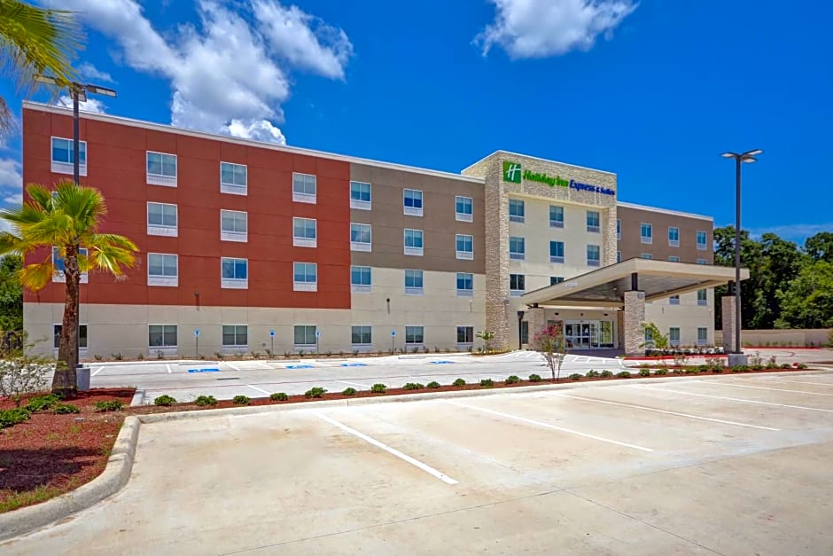 Holiday Inn Express & Suites - Houston NASA - Seabrook