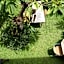 Sugiras Living Guest House