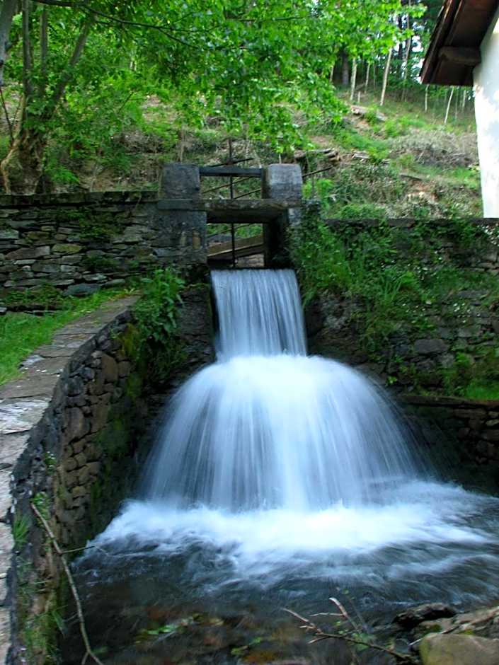 Albergue Olasenea Aterpea