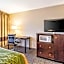 Comfort Inn Lansing West