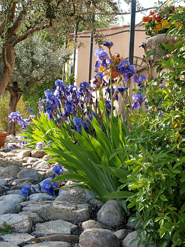 jardin d'antan