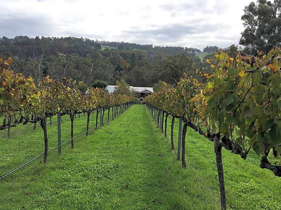 Rickaty on Blackwood