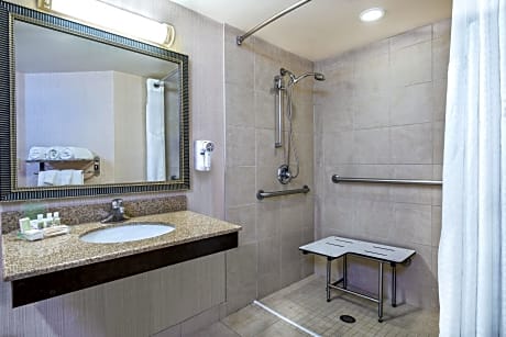 King Room - Disability Access with Roll-In Shower/Non-Smoking