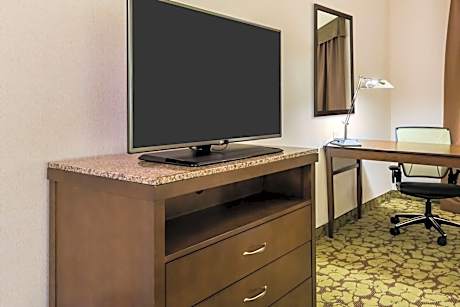 1 King Hearing Accessible Room
