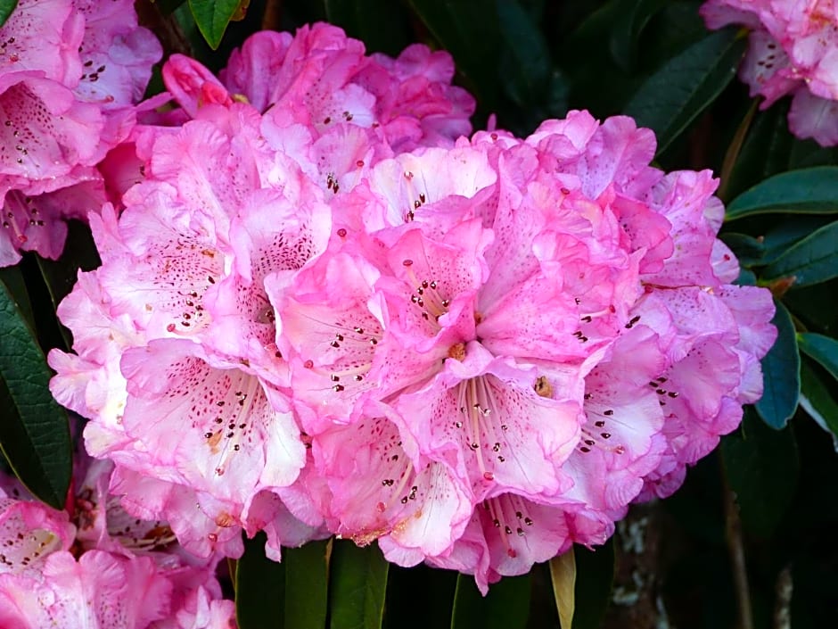 The Steading at Barmore