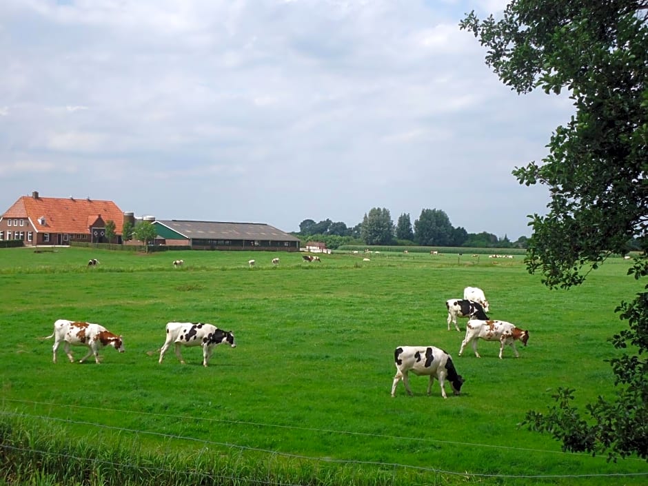 Klein Vreugderijk