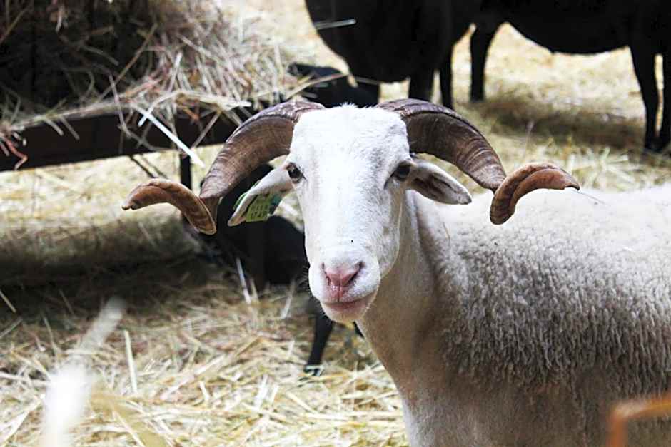 Madre de Água Hotel Rural de Charme