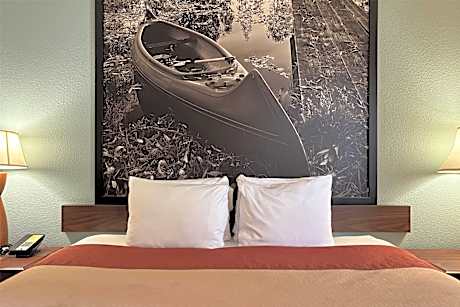 1 King Bed Non-Smoking