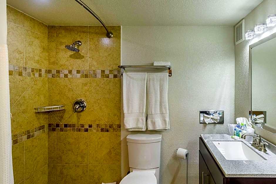 Photo 1 of 7 of 1 King Bed Suite