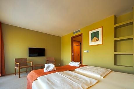 Superior Double Room with Free Wellness Entrance