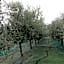 Agrialpi by Salfrutta