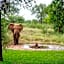 Sable Creek Safari Lodge