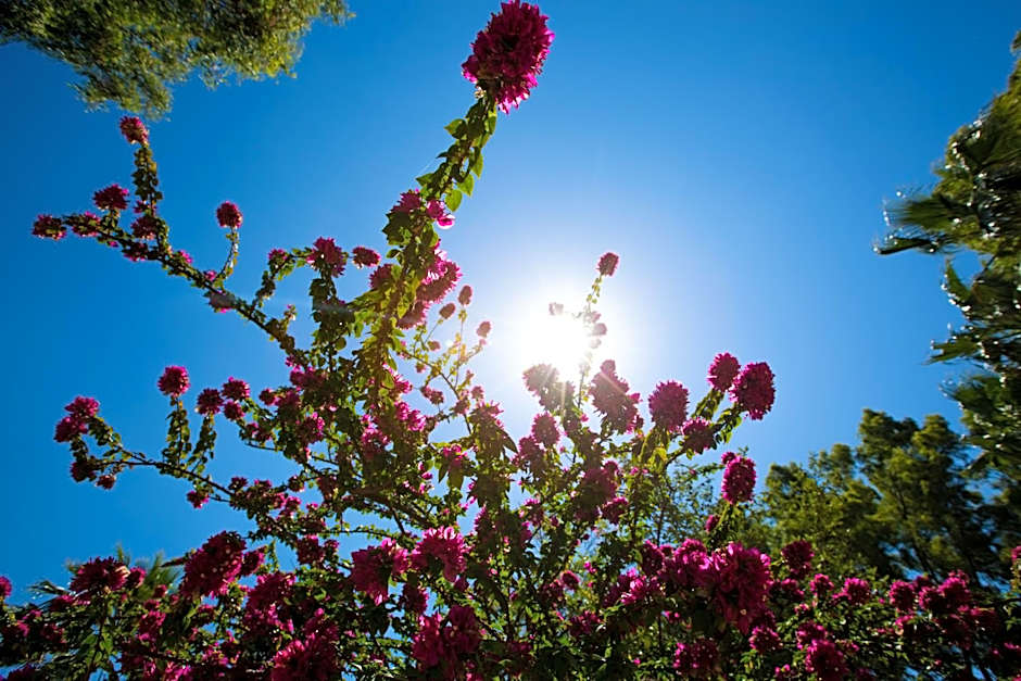 Le Dune Sicily Hotel