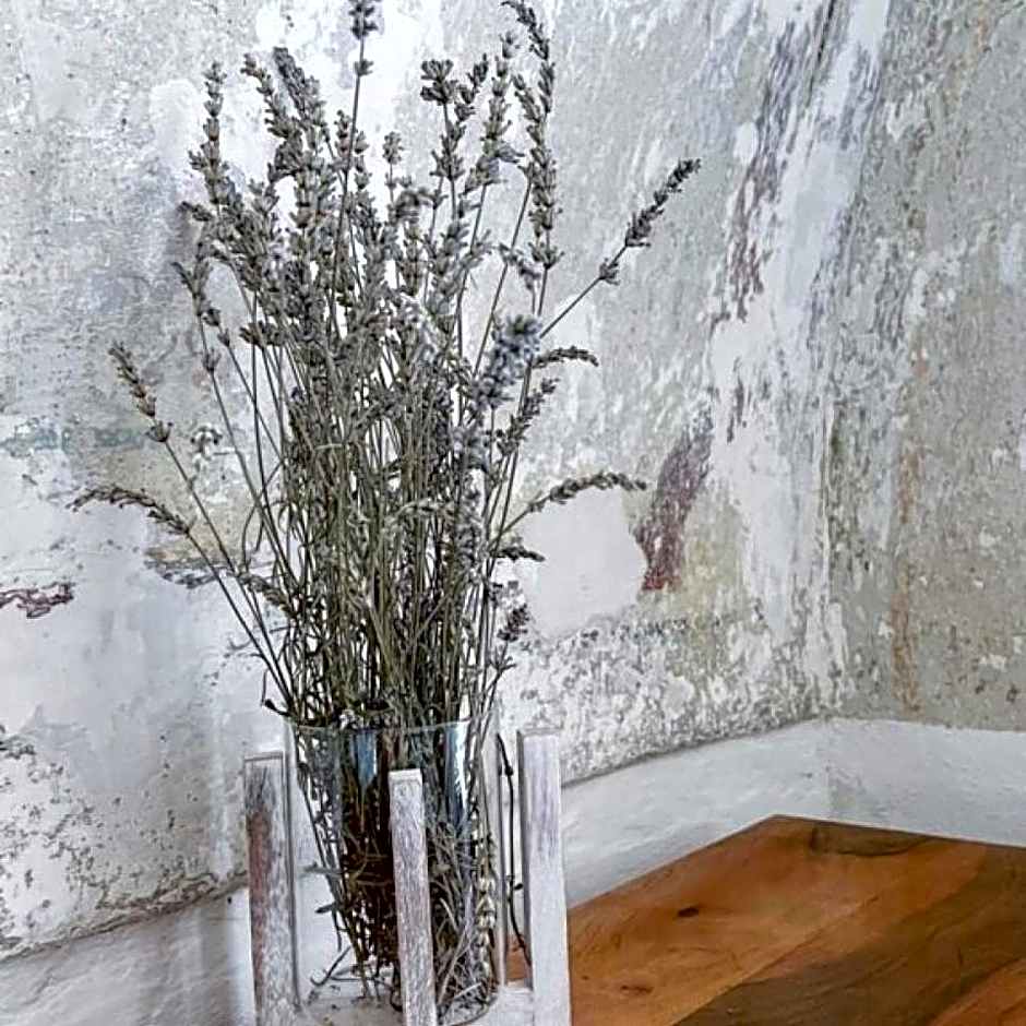 Ubytovanie v Kláštore - Hostel