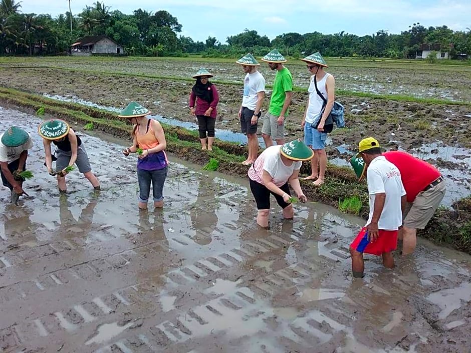 Homestay Joglo Sudiatmojo