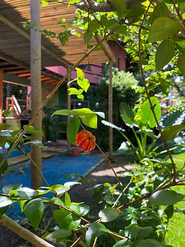 Pousada Casa de Sapê