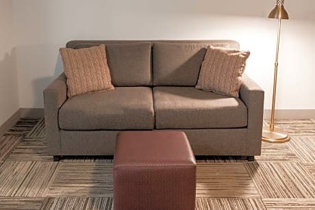 2 Queen Bed Deluxe Suite Sofabed