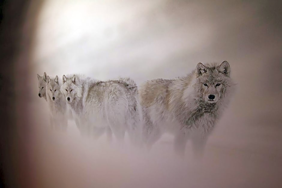 Les Loges Du Parc