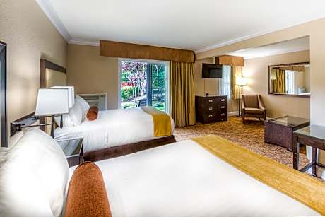 Studio - Disability Access